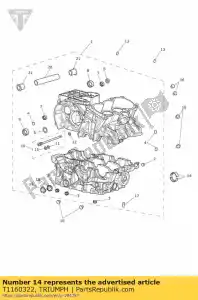 triumph T1160322 cáscara, brg principal - Lado inferior