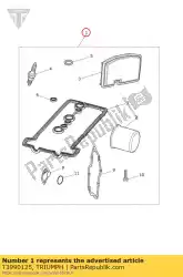 Here you can order the engine service kit from Triumph, with part number T3990125: