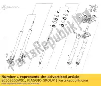 86568300W01, Piaggio Group, cto.horqu.direct.ngr.drd pro 09 (p) derbi senda senda drd sm 50 125 2005 2006 2007 2009, Novo