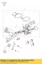 Here you can order the screw from Triumph, with part number T2700428: