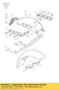 triumph T2303076PS spatbordassyfront - Onderkant