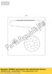 Here you can order the chain kit,15tx45tx110l from Kawasaki, with part number 999961206: