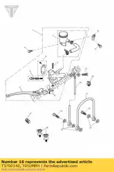 Aqui você pode pedir o clipe duplo em Triumph , com o número da peça T3700140: