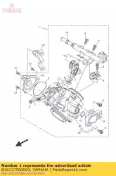 Here you can order the throttle body assy from Yamaha, with part number B16137500000: