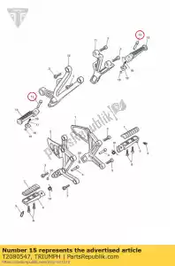 triumph T2080547 axe de pivotement - La partie au fond