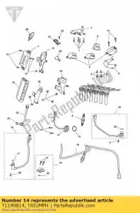 triumph T1190814 posición del engranaje del sensor - Lado inferior