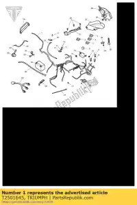 triumph T2501645 harness, main - Bottom side