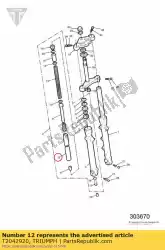 Here you can order the tube assembly from Triumph, with part number T2042920: