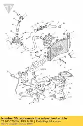 Qui puoi ordinare t2103070-nw calandra esterna sinistra da Triumph , con numero parte T2103070NW: