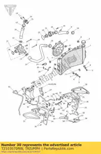 triumph T2103070NW t2103070-nw calandra esterna sinistra - Il fondo