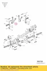 Aqui você pode pedir o apoio para os pés cabide traseiro direito em Triumph , com o número da peça T2080209: