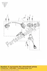 Here you can order the key cut from Triumph, with part number T2500105: