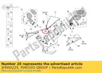 2H000229, Piaggio Group, Decalcomania 