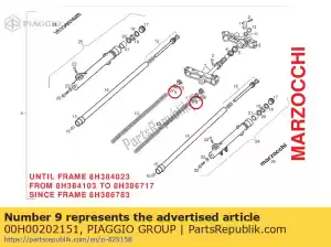 Piaggio Group 00H00202151 ghiera - Il fondo