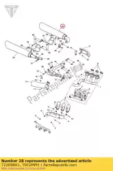Tutaj możesz zamówić zespó? T? Umika lh od Triumph , z numerem części T2209801: