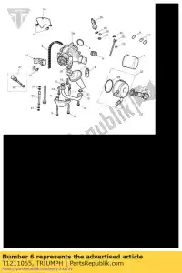 triumph T1211065 válvula, alivio de presión, 510kpa - Lado inferior