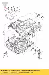 Ici, vous pouvez commander le vis auprès de Triumph , avec le numéro de pièce T1260091: