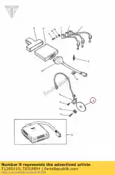 Qui puoi ordinare rotore da Triumph , con numero parte T1290110: