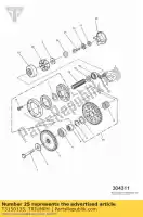 T3150135, Triumph, kit bevestigingen triumph adventurer > 71698 adventurer 71699 > daytona 595 / 955i legend tt speed triple 885cc955cc (efi) > 141871 sprint carbs sprint carbs all sprint rs > 139276 sprint st > 139276 thunderbird thunderbird sport tiger 885 carbs > 71698 t, Nieuw