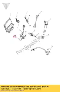 triumph T3600267 joint torique, 26.65idx2.62dia - La partie au fond