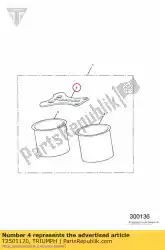 Aqui você pode pedir o placa em Triumph , com o número da peça T2501170: