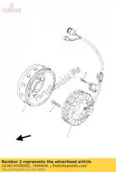 Ici, vous pouvez commander le ensemble rotor auprès de Yamaha , avec le numéro de pièce 1S3814500000: