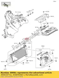 Here you can order the radiator-assy from Kawasaki, with part number 390610712: