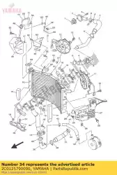 Qui puoi ordinare tubo flessibile 4 da Yamaha , con numero parte 2C0125790000: