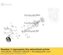 Here you can order the statore completo from Piaggio Group, with part number 1A016830: