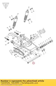 triumph T2059590 brazo oscilante del perno del eje - Lado inferior