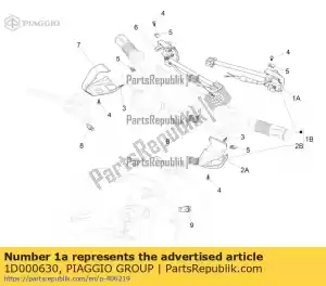 Piaggio Group 1D000630 dispositivo di controllo elettrico sx - Il fondo
