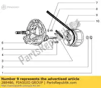 288486, Piaggio Group, Ceinture piaggio ciao m y 99 1995, Nouveau