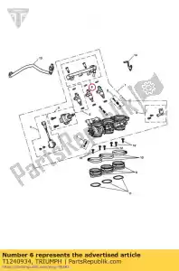 triumph T1240934 assy, ??rail carburante - Il fondo