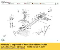 100286030000, Benelli, manicotto del fascio ad alta pressione benelli euro 3 euro 4 euro 5 0 302 500 502 600 752 800 2014 2015 2017 2018 2019 2020 2021 2022 2023, Nuovo