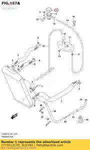 Suzuki 1773012C30 tapa, radiador - Lado inferior