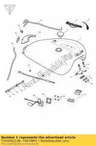 triumph T2400621JN t2400621-jn gruppo serbatoio carburante - Il fondo