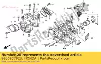 980695792U, Honda, Bougie honda trx 500 2001 2002 2003 2004 2005 2006 2007 2008 2009 2013, Nieuw