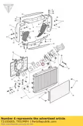 Here you can order the cap radiator chrome from Triumph, with part number T2100069: