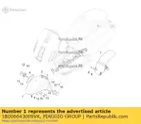 1B006643000VK, Piaggio Group, guarda-lamas dianteiro     , Novo