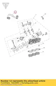 triumph T1245583 tuyau en caoutchouc d'alimentation en carburant - La partie au fond