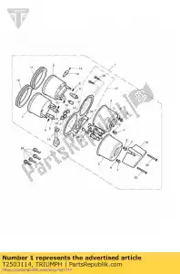 triumph T2503114 conjunto de instrumentos kph - Lado inferior