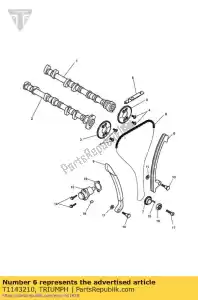triumph T1143210 kit camchain e rodas dentadas - Lado inferior
