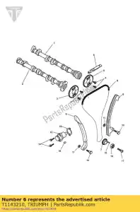 triumph T1143210 kit camchain & sprockets - Bottom side