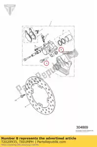 triumph T2020935 ensemble de broches de montage - La partie au fond