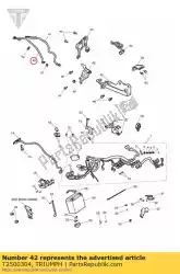 Here you can order the subharness battery negative from Triumph, with part number T2500304: