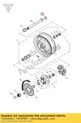 Here you can order the bung from Triumph, with part number T3450063: