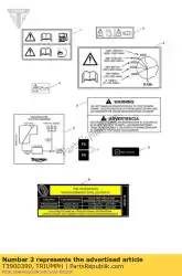 Here you can order the label running in from Triumph, with part number T3900390: