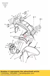 triumph T3205066 bolt, hhf, lghtd, m6x1.0x20, slv - Il fondo