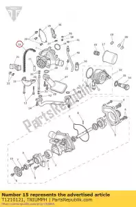 triumph T1210121 catena, 6,35 passi, 74 maglie - Il fondo