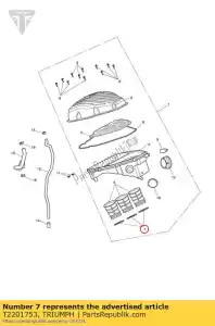 triumph T2201753 lente trompet - Onderkant